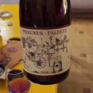 Aphros Wine, Lda - Vasco Croft, Tiago Sampaio & Miguel Viseu - Phaunus Palhete