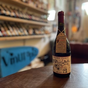 Phaunus Palhete - Aphros Wines Cellar - vasco-croft-tiago-sampaio-miguel-viseu