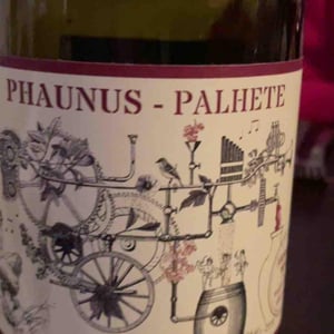 Phaunus Palhete - Aphros Wines Cellar - Vasco Croft, Tiago Sampaio & Miguel Viseu 