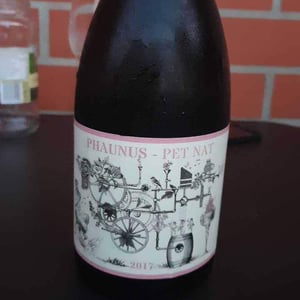 Phaunus Loureiro 2017