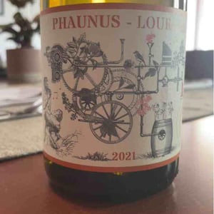 Phaunus-Loureiro - Aphros Wines Cellar - vasco-croft-tiago-sampaio-miguel-viseu