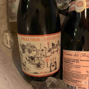 Phaunus-Loureiro - Aphros Wines Cellar - Vasco Croft, Tiago Sampaio & Miguel Viseu 