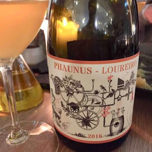 Aphros Wine, Lda - Vasco Croft, Tiago Sampaio & Miguel Viseu - Phaunus-Loureiro