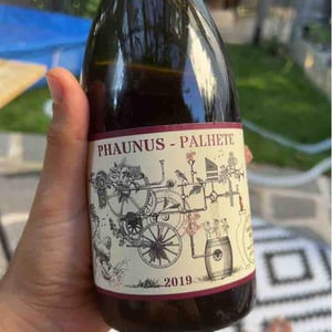 Phaunus-Loureiro - Aphros Wines Cellar - vasco-croft-tiago-sampaio-miguel-viseu