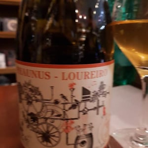 Phaunus Loureiro
