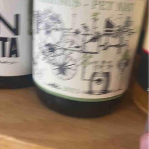 Phaunus-Loureiro - Aphros Wines Cellar - vasco-croft-tiago-sampaio-miguel-viseu