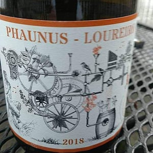 Phaunus-Loureiro - Aphros Wines Cellar - Vasco Croft, Tiago Sampaio & Miguel Viseu 
