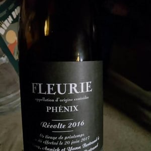 Phénix - Les Bertrand - guy-annick-yann-bertrand