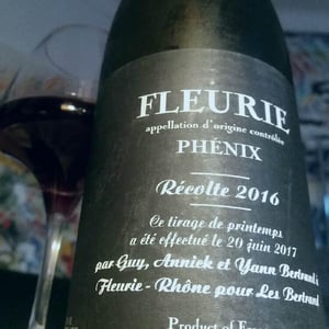 Phénix - Les Bertrand - guy-annick-yann-bertrand
