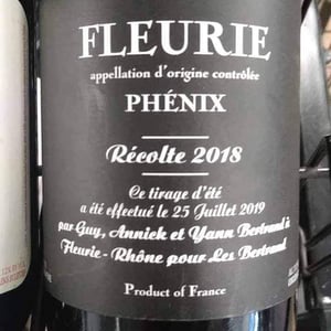 Phénix - Les Bertrand - guy-annick-yann-bertrand