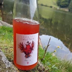 Domaine Geschickt - Arnaud Geschickt & Aurélie Fayolle - Phénix
