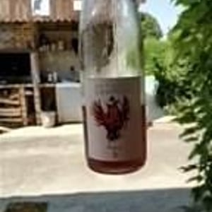 Domaine Geschickt - Arnaud Geschickt & Aurélie Fayolle - Phénix