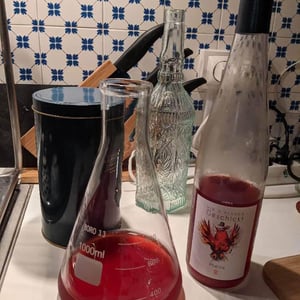 Domaine Geschickt - Arnaud Geschickt & Aurélie Fayolle - Phénix