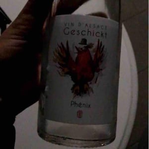 Domaine Geschickt - Arnaud Geschickt & Aurélie Fayolle - Phénix