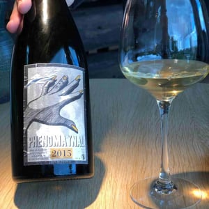 Phenomaynal - Allante & Boulanger - Mathieu Allante & Christian Boulanger 