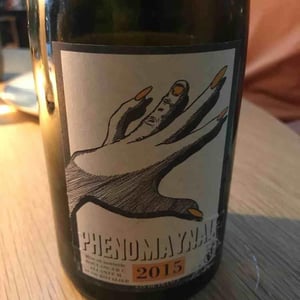 Phenomaynal - Allante & Boulanger - Mathieu Allante & Christian Boulanger 