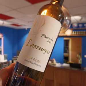 Phoenix - Clos Larrouyat - Maxime & Lucie Salharang 