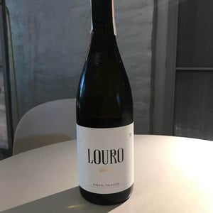 Louro - Rafael Palacios - Rafael Palacios 