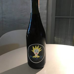 G Punk - Cascina Tavijn - nadia-verrua