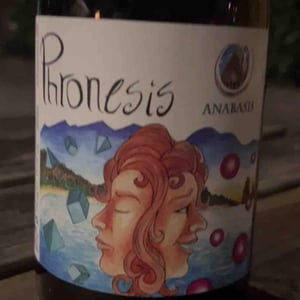 Phronesis - Anabasis - michelangelo-alagna -2022