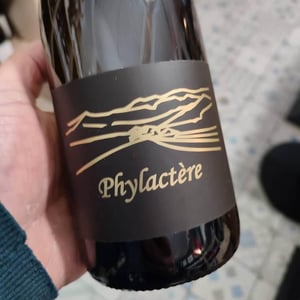 Phylactère - Clos des Cimes - elodie-aubert