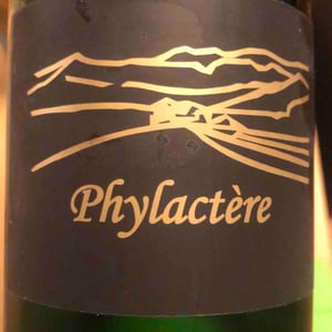 Phylactère - Clos des Cimes - Elodie Aubert 