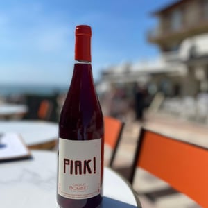 Piak - Domaine Calvez-Bobinet - sebastien-bobinet-emeline-calvez