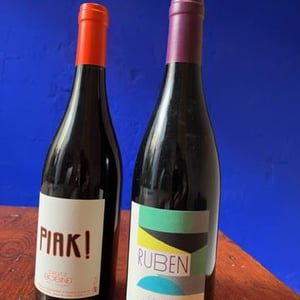 Piak - Domaine Calvez-Bobinet - sebastien-bobinet-emeline-calvez