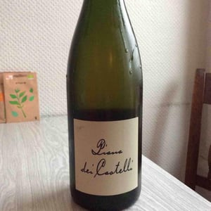 Piana dei Castelli (bianco) 2014