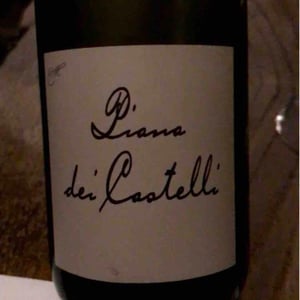 Piana dei Castelli (bianco) - Piana dei Castelli - matteo-ceracchi
