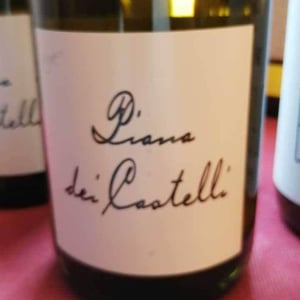 Piana dei Castelli (bianco) - Piana dei Castelli - matteo-ceracchi