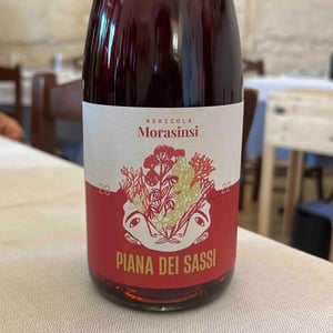 Piana dei Sassi - Morasinsi - sveva-sernia-and-peter-geier