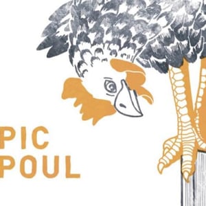 Pic Poul - Les Équilibristes - francois-de-monval-florent-girou