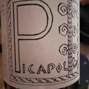 Picapol - La Bohème - Patrick Bouju 