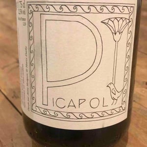 Picapol - La Bohème - patrick-bouju-k3