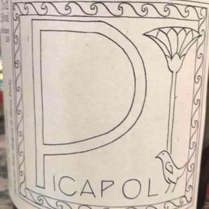 Picapol - La Bohème - Patrick Bouju 