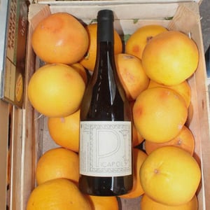 Picapol - La Bohème - patrick-bouju-k3