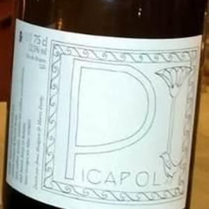 Picapol - La Bohème - patrick-bouju-k3