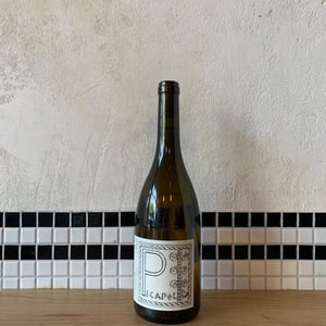Picapol - La Bohème - patrick-bouju-k3