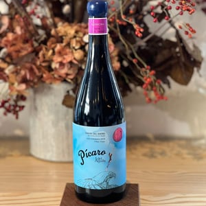 Picaro - La Aguilera - Ribera Del Duero - jorge-monzon-e-isabel-rodero -2019