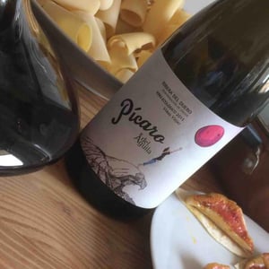 Píccaro Del Águila - Dominio Del Águila - Ribera Del Duero - jorge-monzon-e-isabel-rodero
