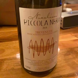 Piccola Nera - Giorgio Nicolini - eugenio-giorgio-rossana-nicolini