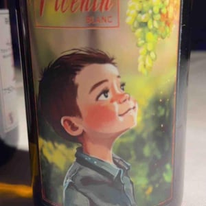 Picenin - Tenuta l’armonia - andrea-pendin -2022