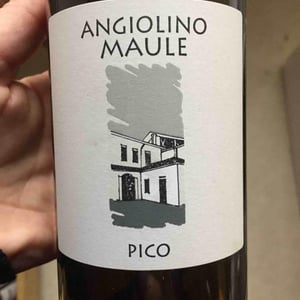 Azienda Agricola La Biancara - Angiolino Maule - Pico