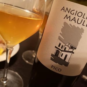 Pico - Azienda Agricola La Biancara - angiolino-maule