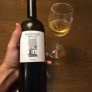 Azienda Agricola La Biancara - Angiolino Maule - Pico