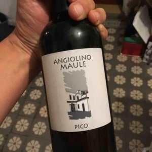 Pico