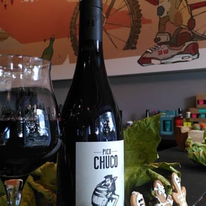 Pico Chuco - Domaine des Amiel - aymeric-jordan-amiel