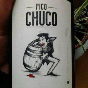 Pico Chuco - Domaine des Amiel - Aymeric & Jordan Amiel 