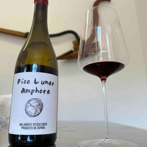 Pico Lunar Amphora - Vinos Malaparte - Elisa De Frutos & Ruben Salamanca 